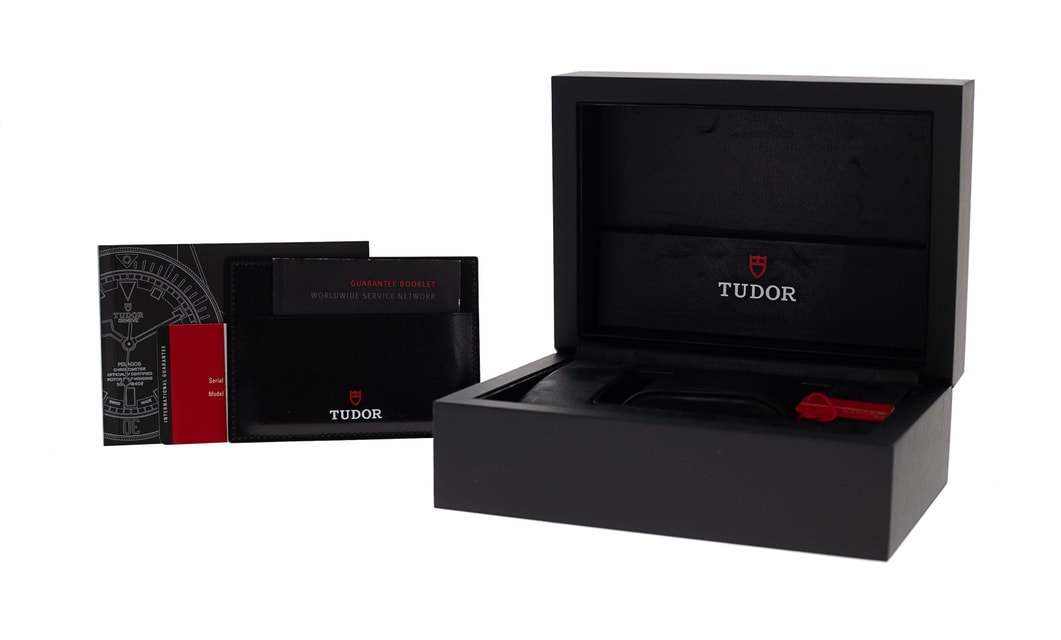 Tudor Pelagos M25600TN-0001 Image 4